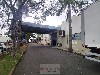 SAÚDE MOGI-MIRIM