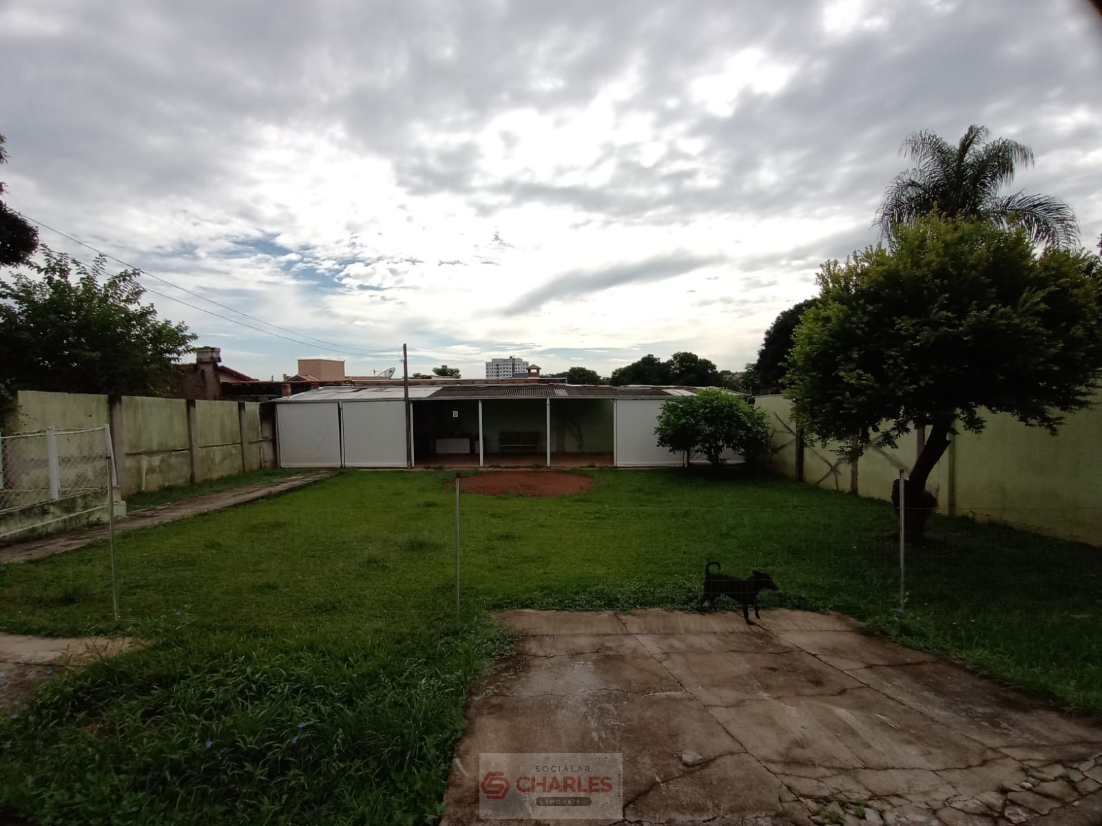 TUCURA MOGI-MIRIM