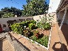 TUCURA MOGI-MIRIM