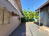 TUCURA MOGI-MIRIM