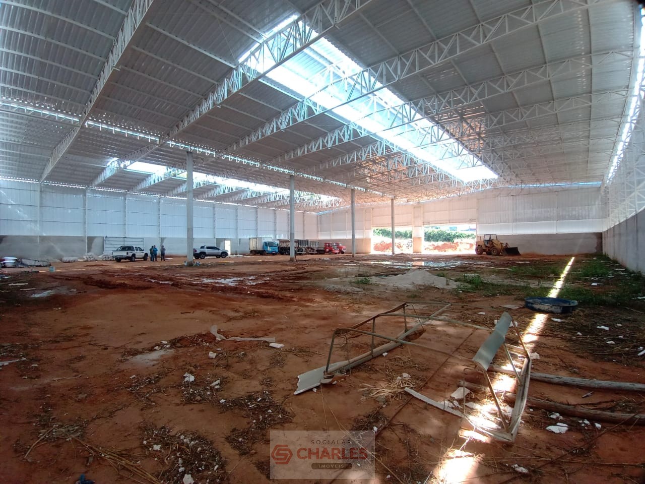 JD. ÁUREA MOGI-MIRIM