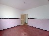 TUCURA MOGI-MIRIM