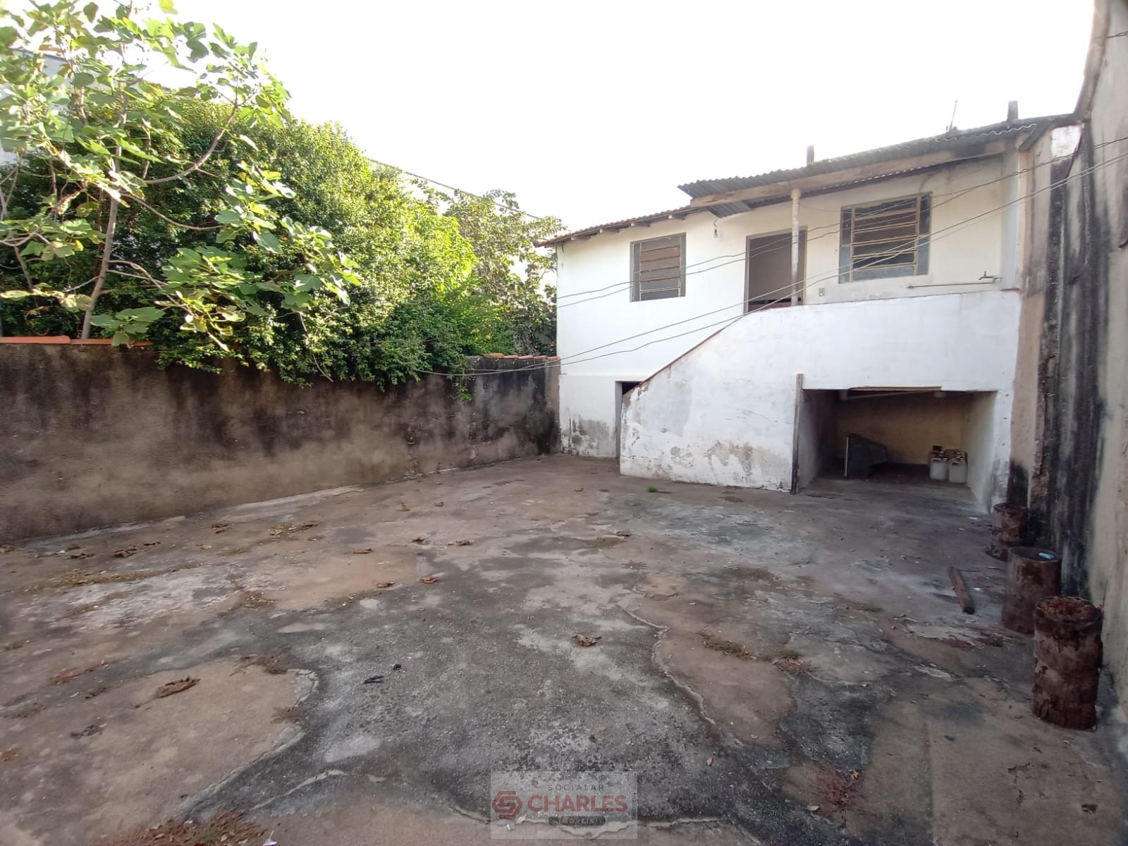 TUCURA MOGI-MIRIM