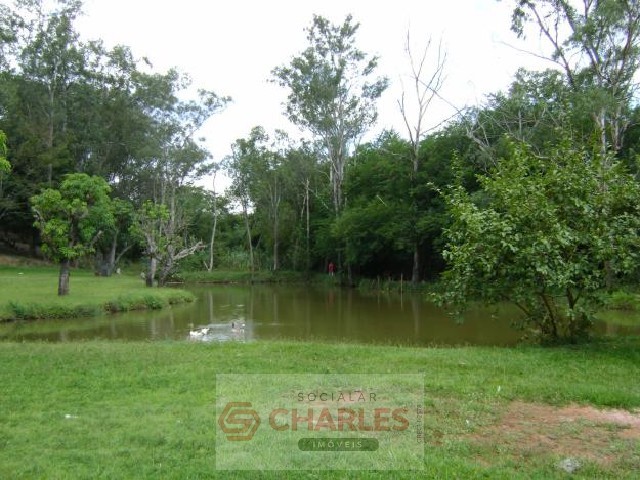 MIRANTE MOGI-MIRIM