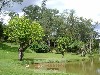 MIRANTE MOGI-MIRIM