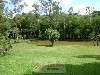 MIRANTE MOGI-MIRIM