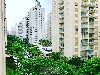 PITANGUEIRAS GUARUJA