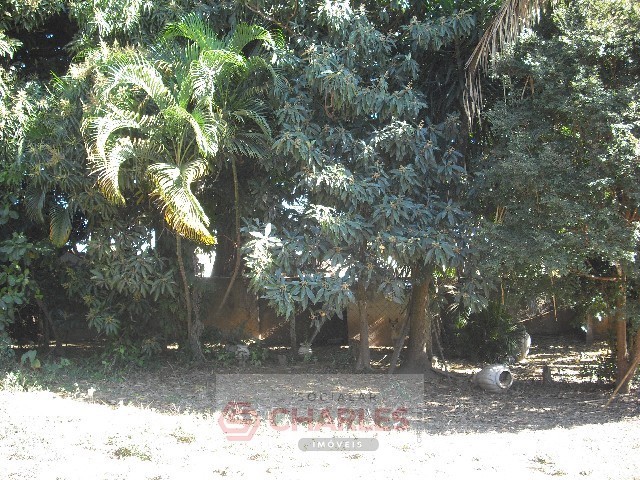 JD. CINTRA MOGI-MIRIM