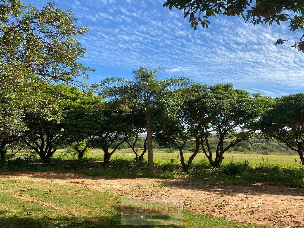 PEDERNEIRAS MOGI-MIRIM