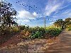 ALTO DO MIRANTE MOGI-MIRIM