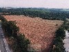 ÁREA RURAL DE MOGI MIRIM MOGI-MIRIM