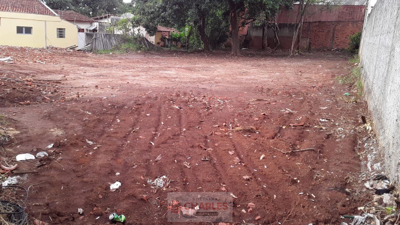 TUCURA MOGI-MIRIM