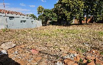 TUCURA MOGI-MIRIM