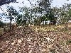 PLANALTO BELA VISTA MOGI-MIRIM