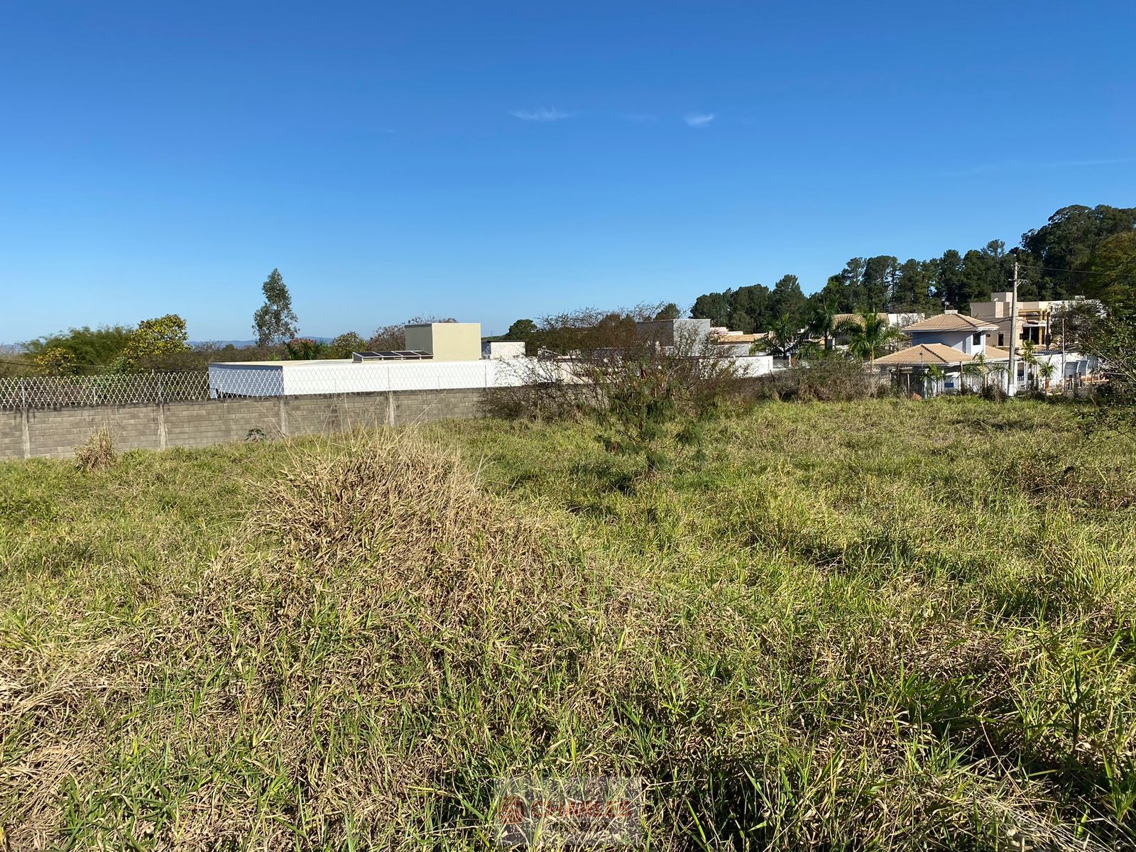 JD. MARIA BEATRIZ MOGI-MIRIM