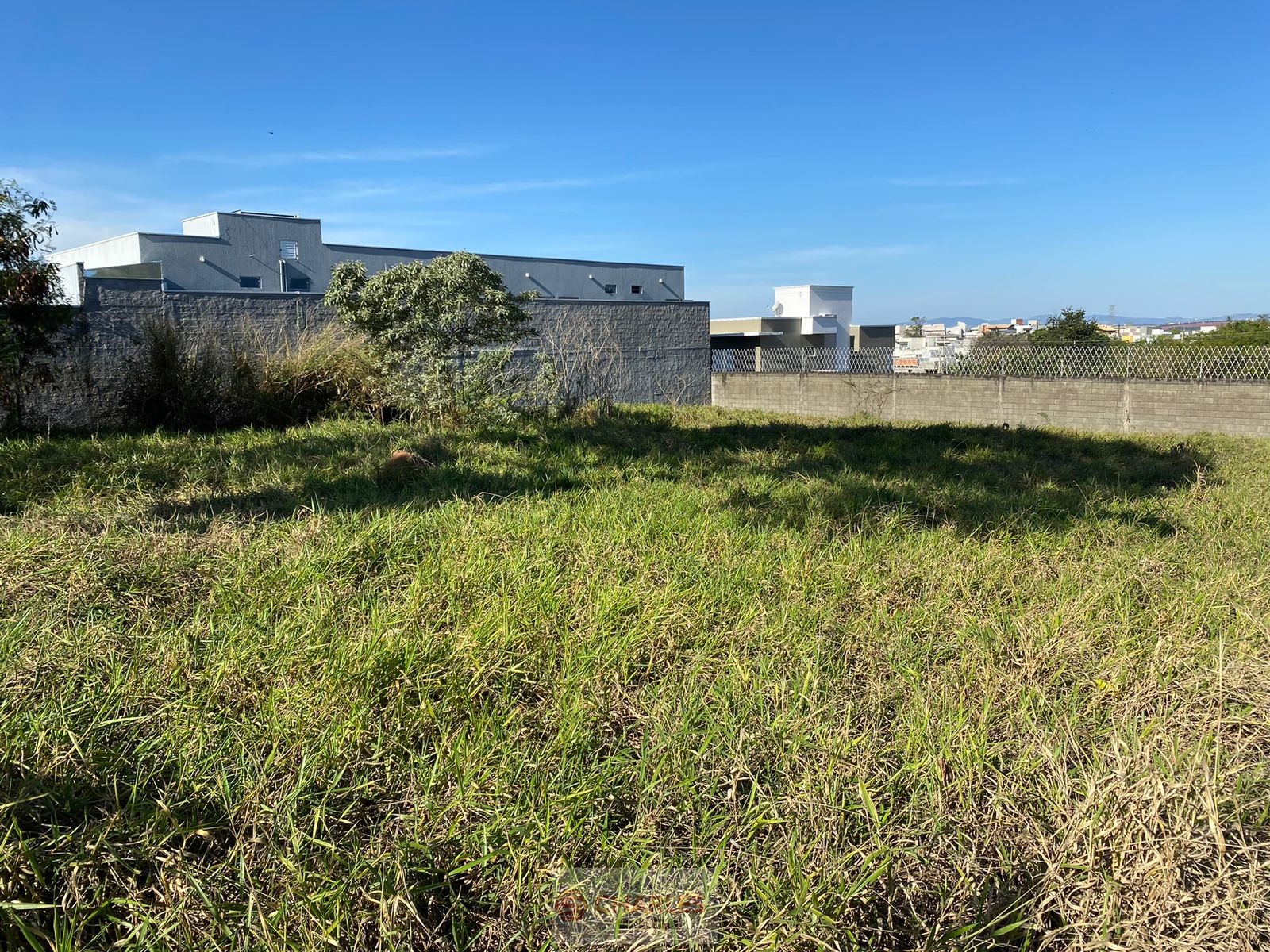 JD. MARIA BEATRIZ MOGI-MIRIM