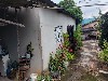 TUCURA MOGI-MIRIM