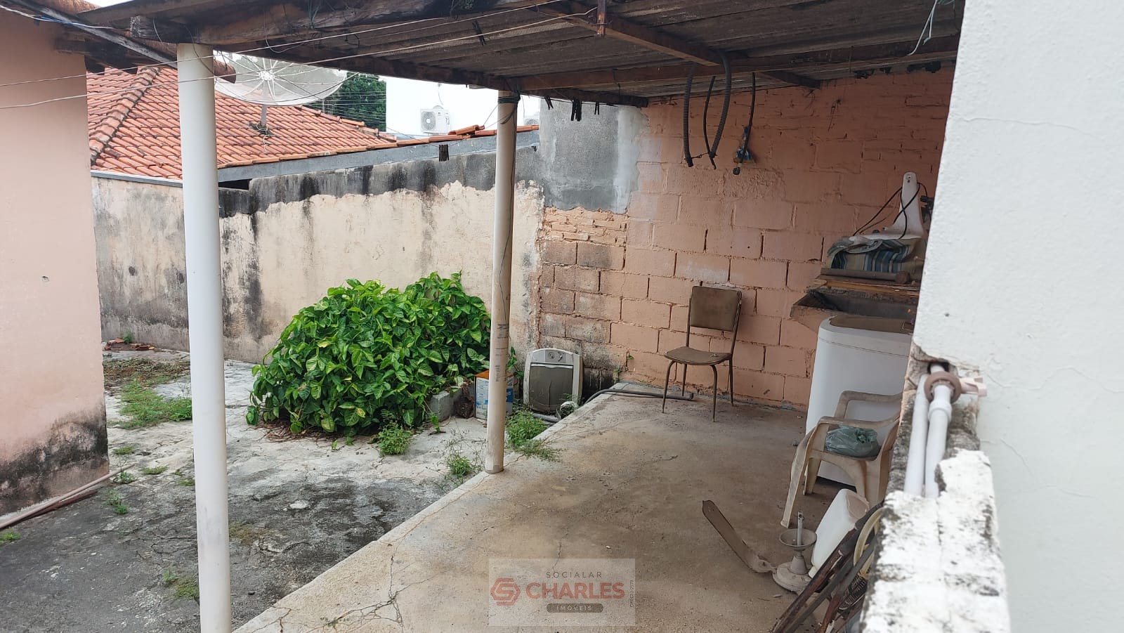 TUCURA MOGI-MIRIM