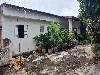TUCURA MOGI-MIRIM