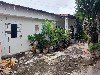 TUCURA MOGI-MIRIM