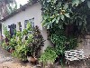 TUCURA MOGI-MIRIM