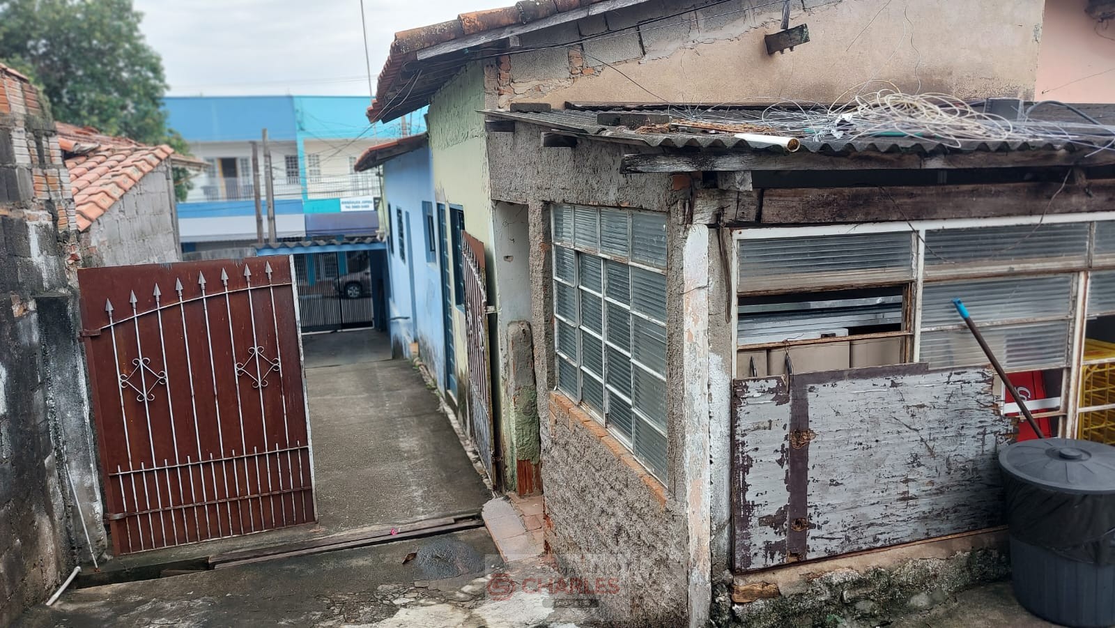 TUCURA MOGI-MIRIM