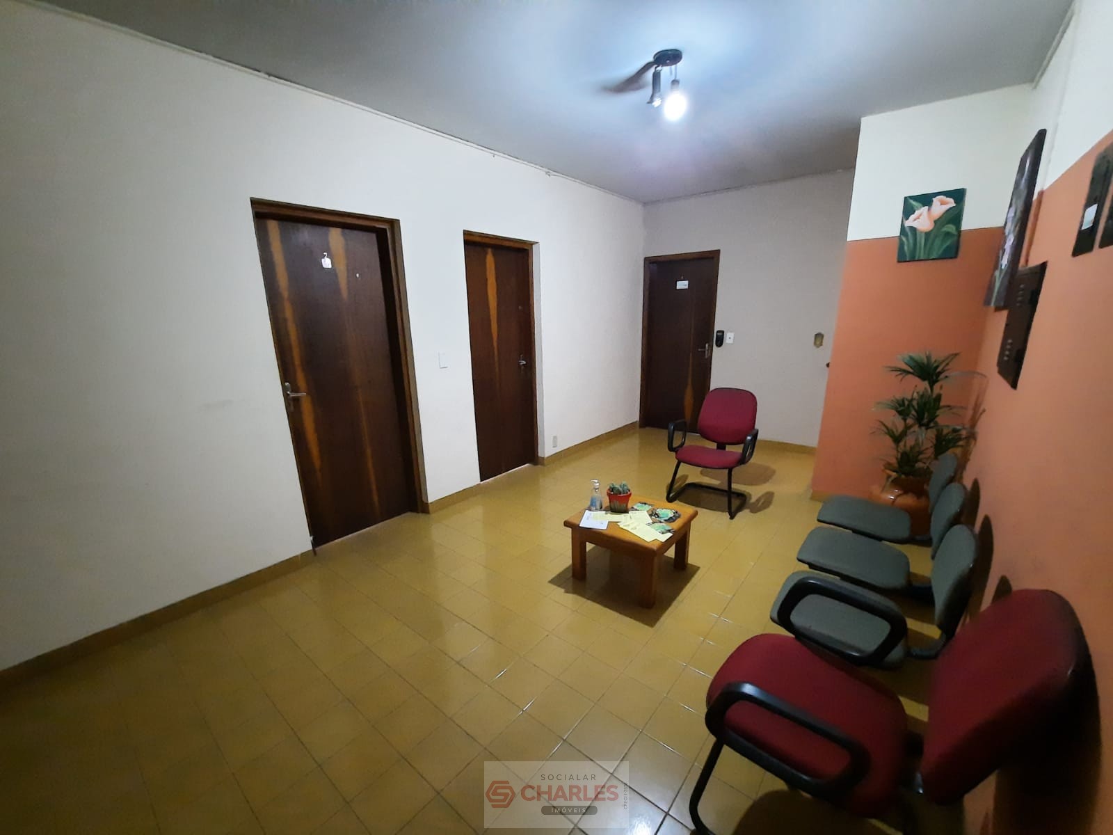 CENTRO MOGI-MIRIM