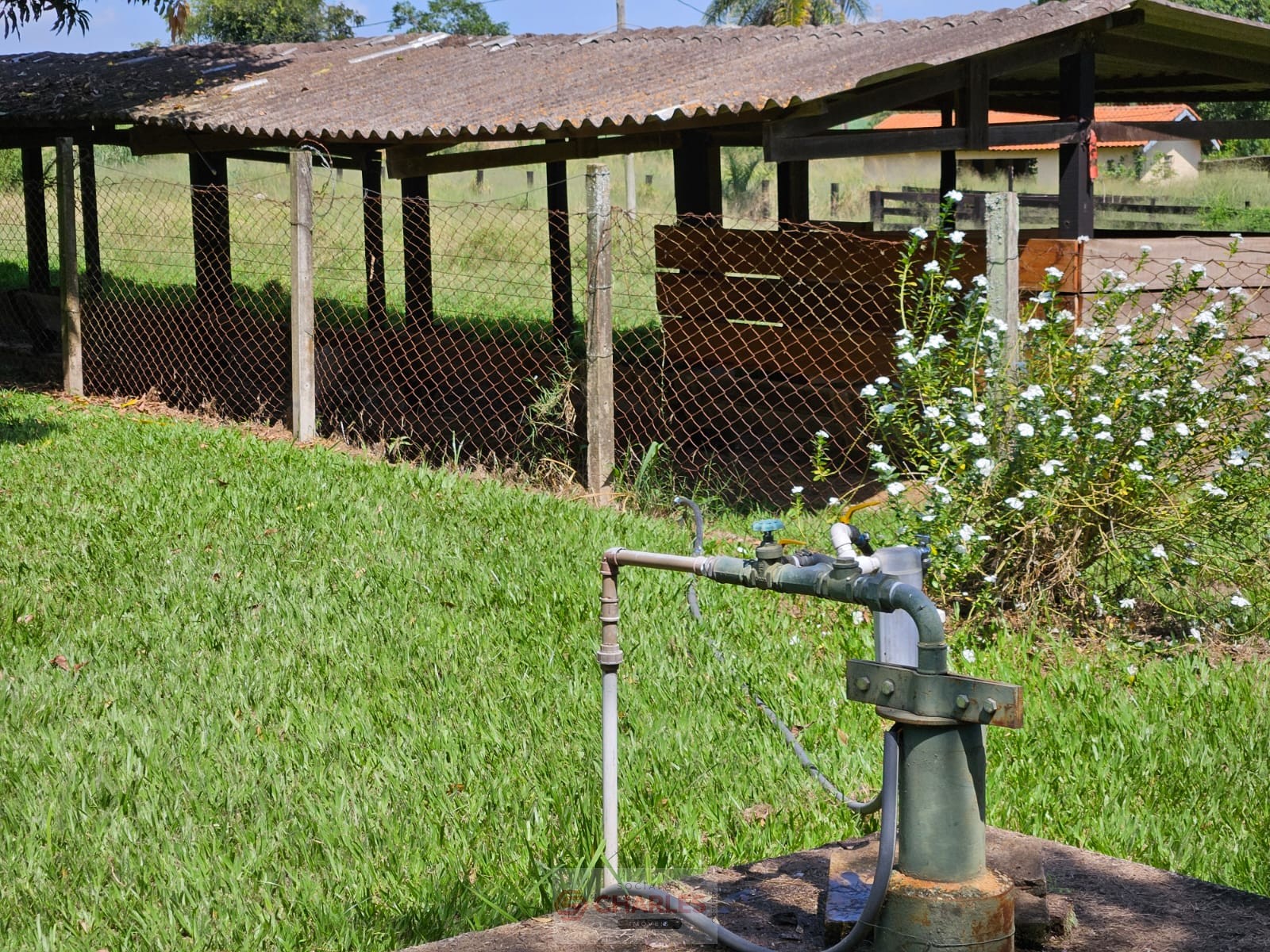 CORREGO AZUL MOGI-MIRIM