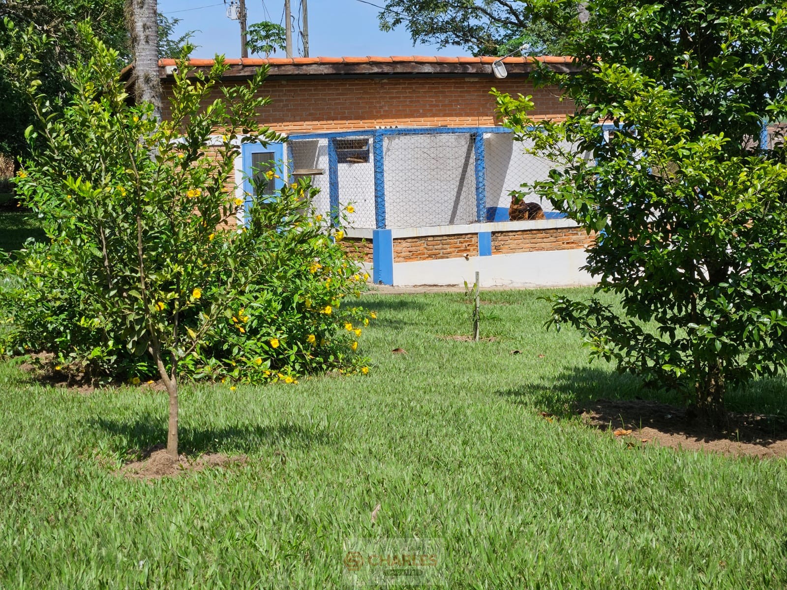 CORREGO AZUL MOGI-MIRIM