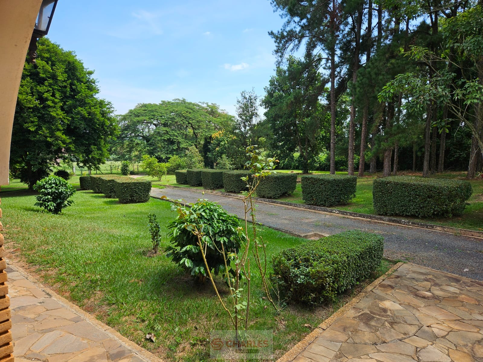 CORREGO AZUL MOGI-MIRIM