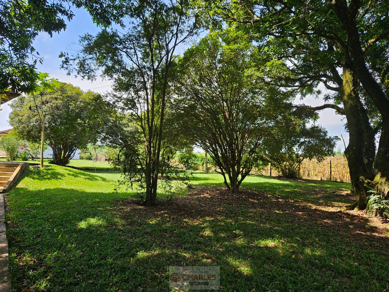 CORREGO AZUL MOGI-MIRIM