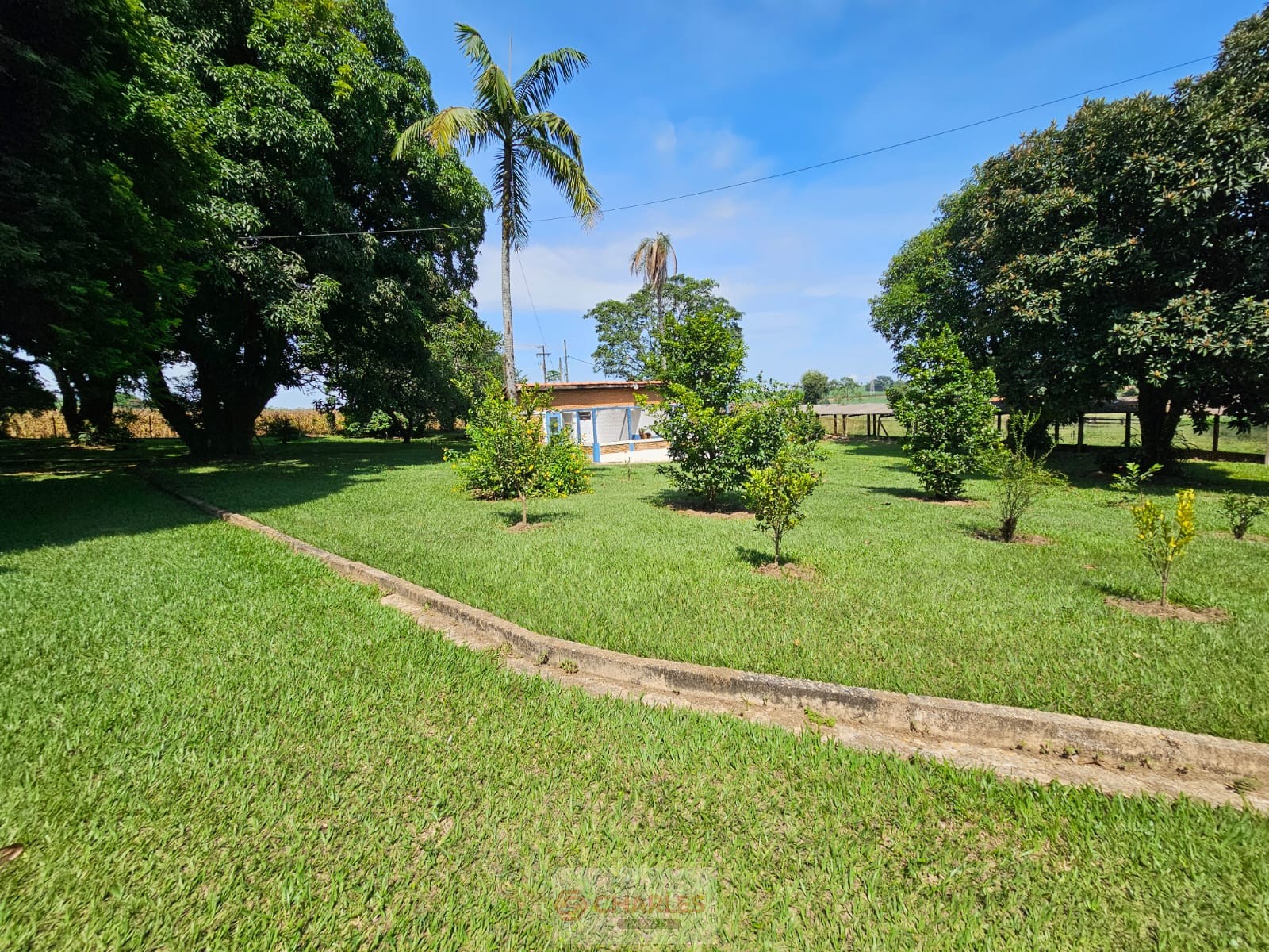 CORREGO AZUL MOGI-MIRIM