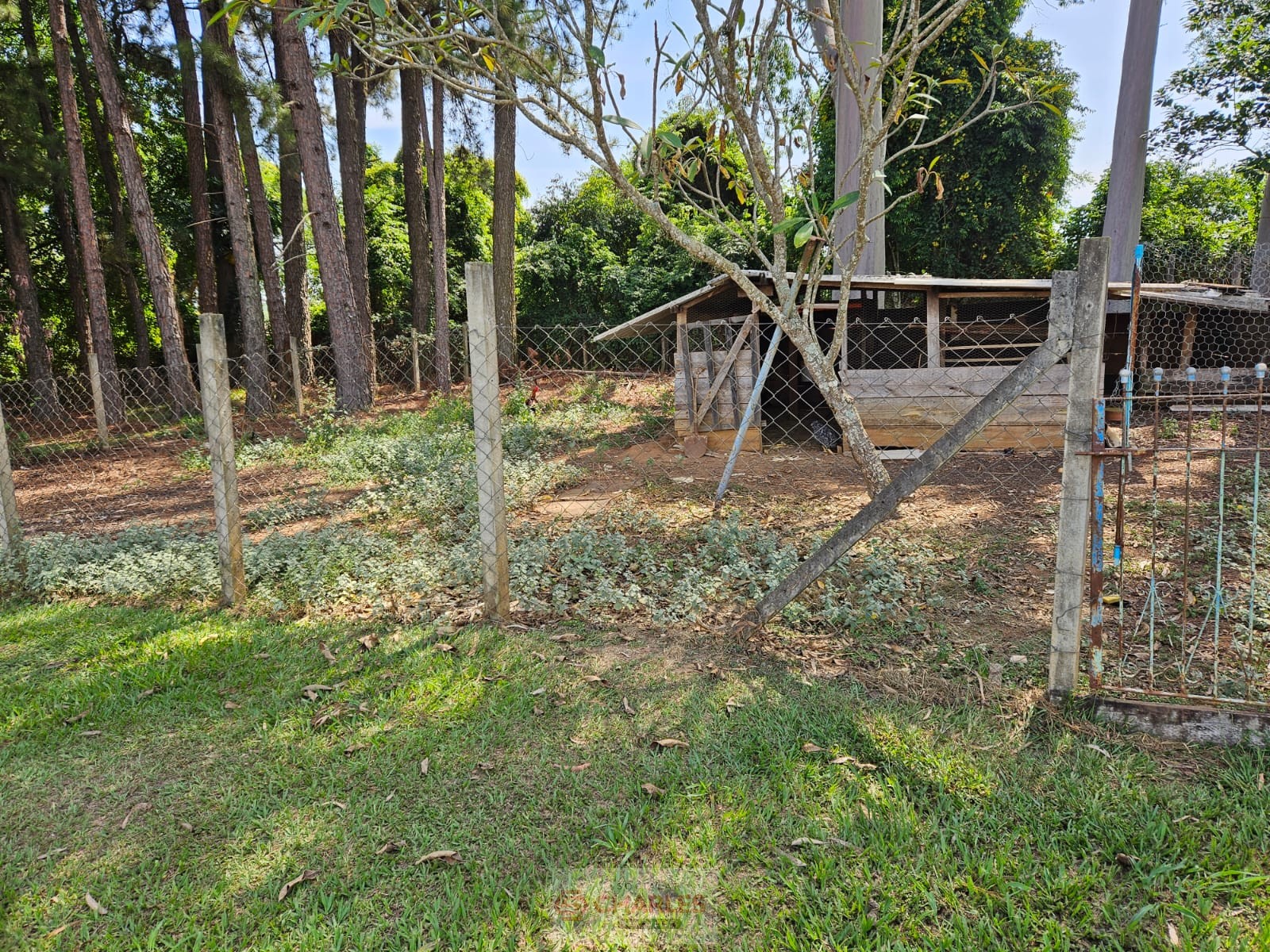CORREGO AZUL MOGI-MIRIM