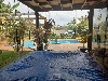 TUCURA MOGI-MIRIM