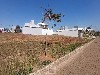 COND. RES. MORRO DO SOL MOGI-MIRIM