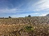 RESID. FLOR D´ALDEIA MOGI-MIRIM