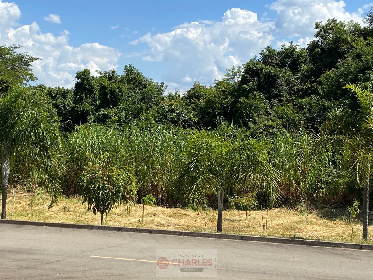 COND. FAZENDA PAINEIRAS MOGI-MIRIM