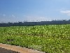 RESID. FLOR D´ALDEIA MOGI-MIRIM