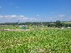 RESID. FLOR D´ALDEIA MOGI-MIRIM