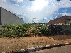 TUCURA MOGI-MIRIM