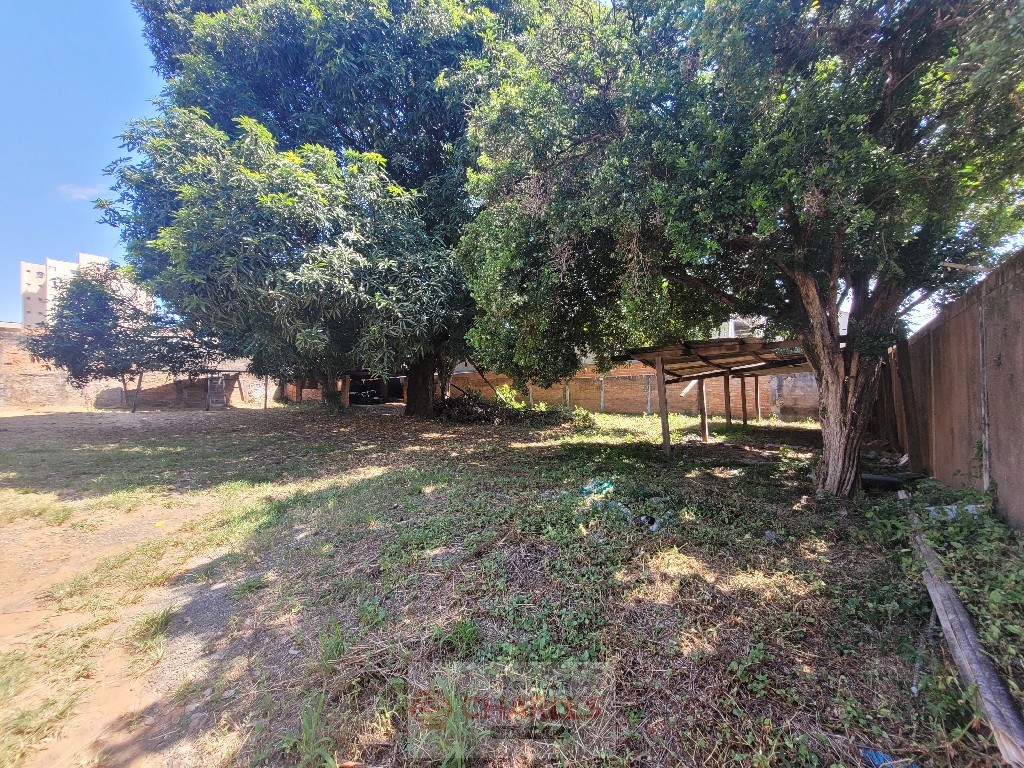 CENTRO MOGI-MIRIM