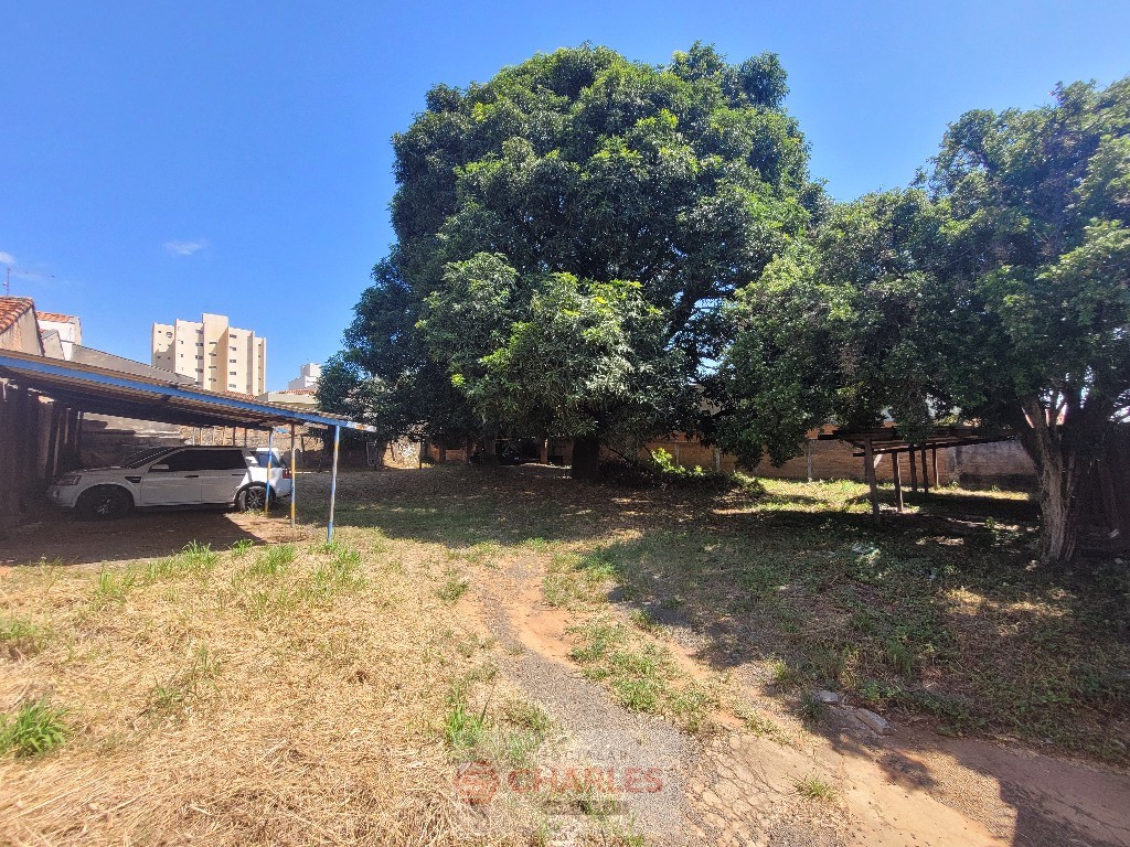 CENTRO MOGI-MIRIM
