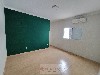 JD. PATRÍCIA MOGI-MIRIM