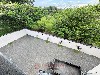 RESERVA DA MATA MOGI-MIRIM