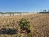 COND. RES. FLOR D´ALDEIA MOGI-MIRIM