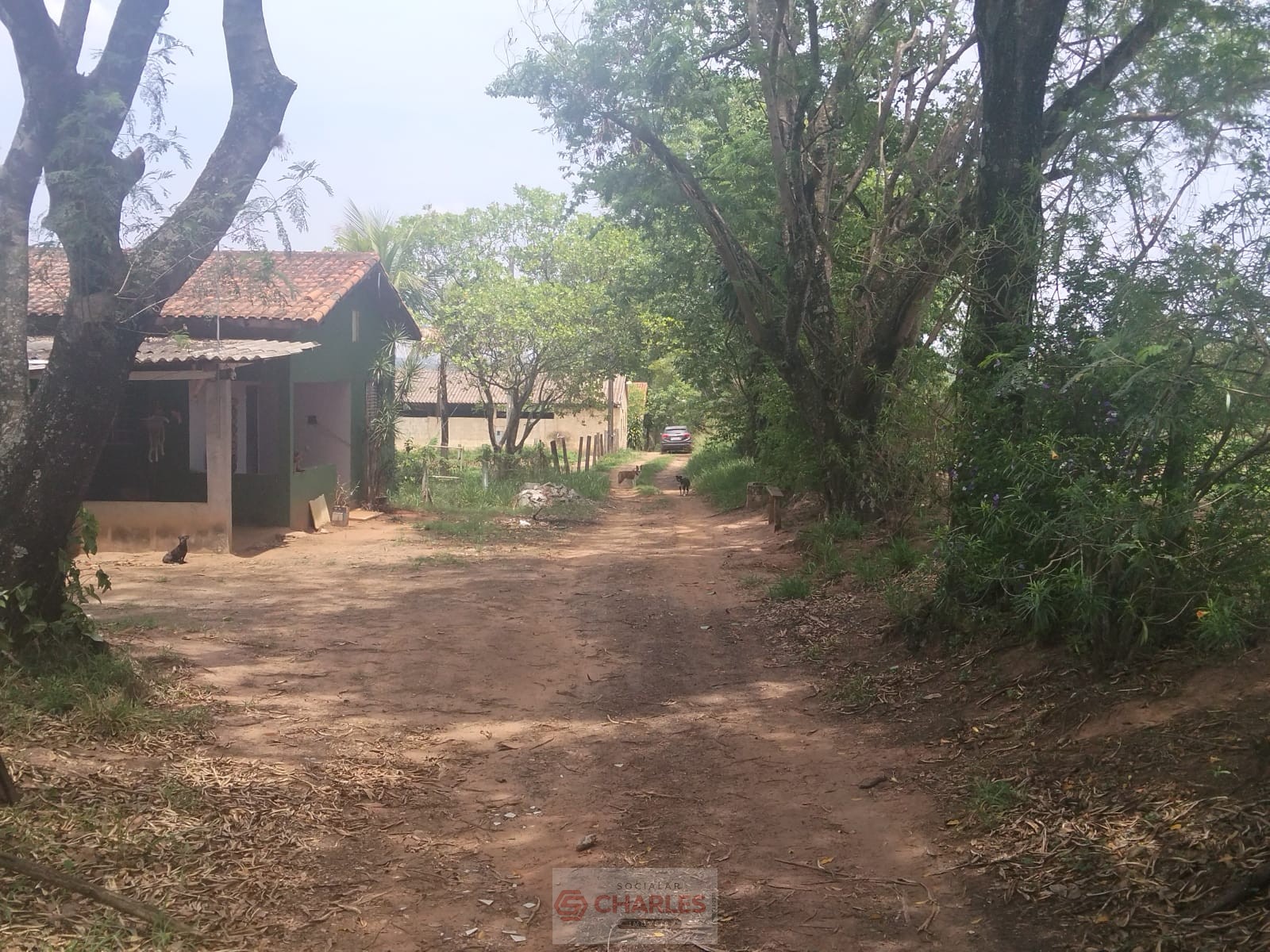 MARTIM FRANCISCO MOGI-MIRIM