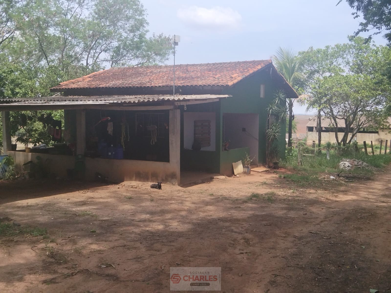 MARTIM FRANCISCO MOGI-MIRIM