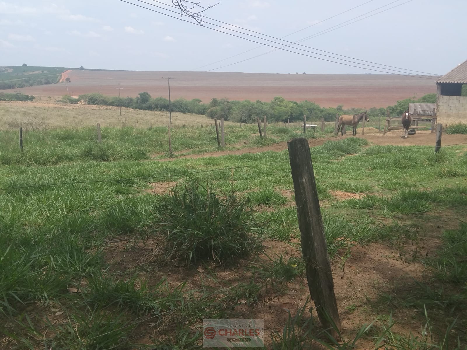 MARTIM FRANCISCO MOGI-MIRIM