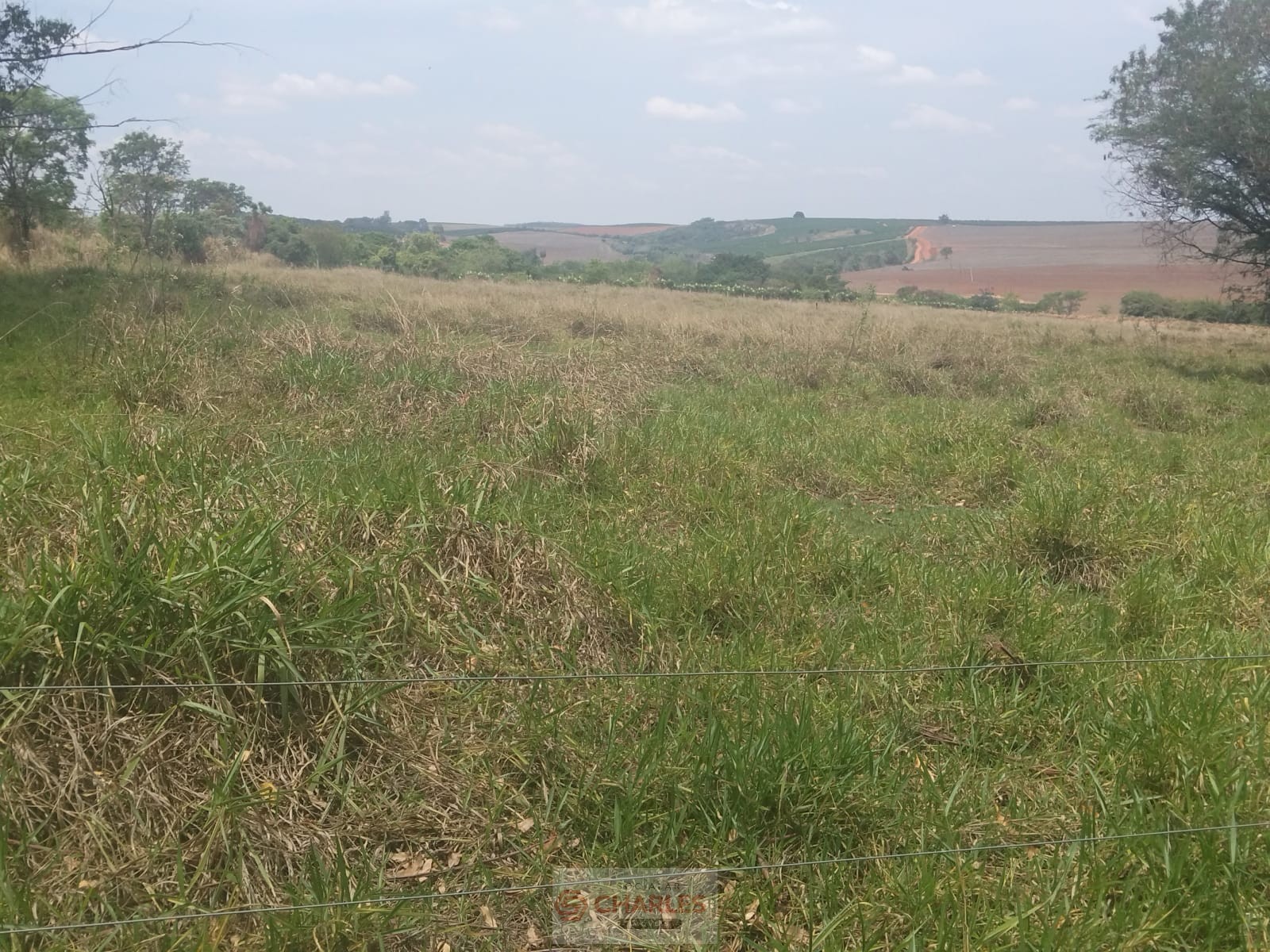 MARTIM FRANCISCO MOGI-MIRIM