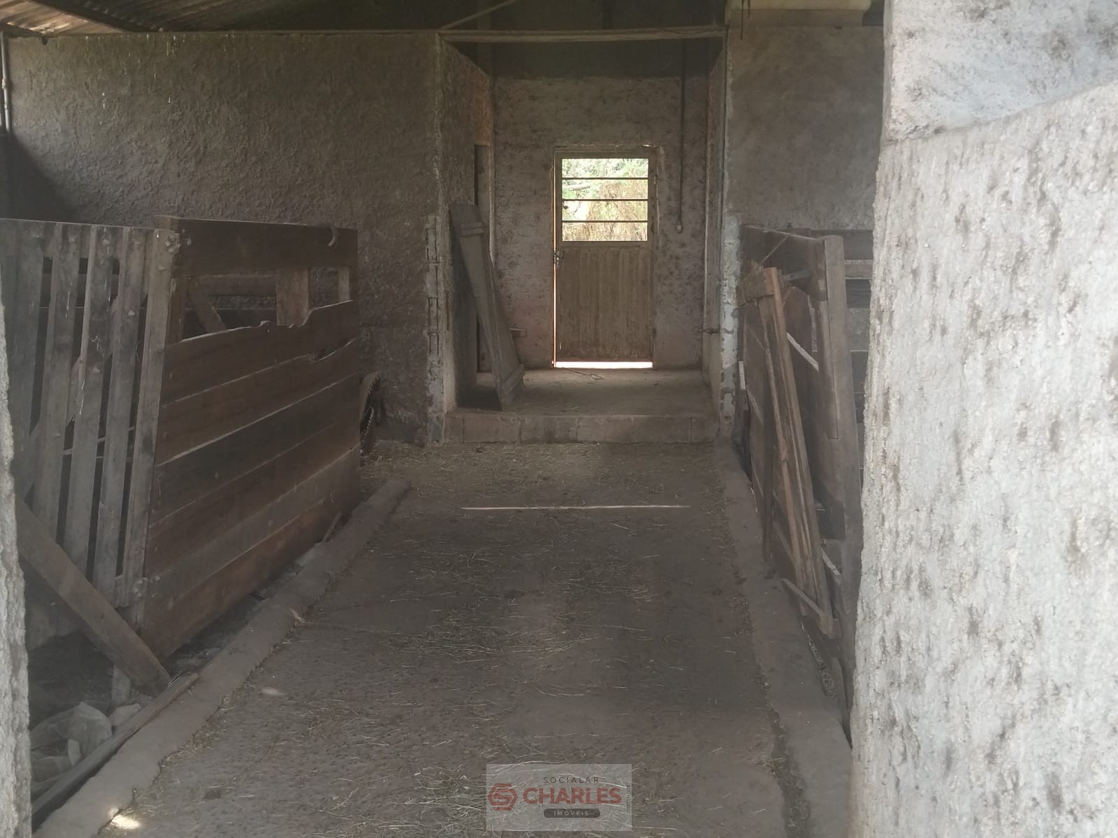 MARTIM FRANCISCO MOGI-MIRIM